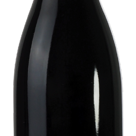 DOM FICHET PINOT NOIR BOURG TRADITION (1)